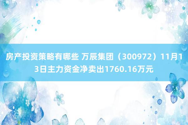 房产投资策略有哪些 万辰集团（300972）11月13日主力资金净卖出1760.16万元