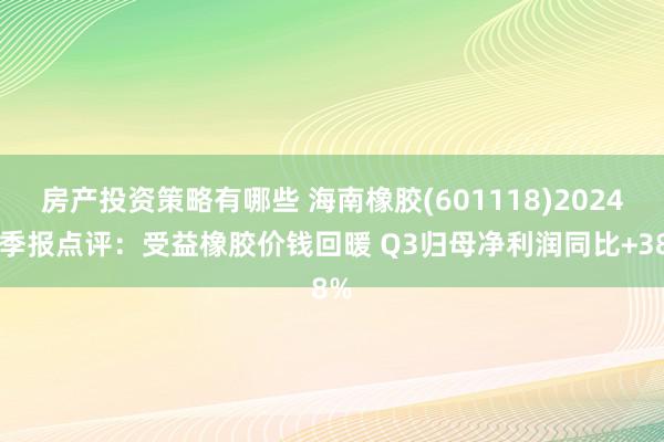 房产投资策略有哪些 海南橡胶(601118)2024三季报点评：受益橡胶价钱回暖 Q3归母净利润同比+38%