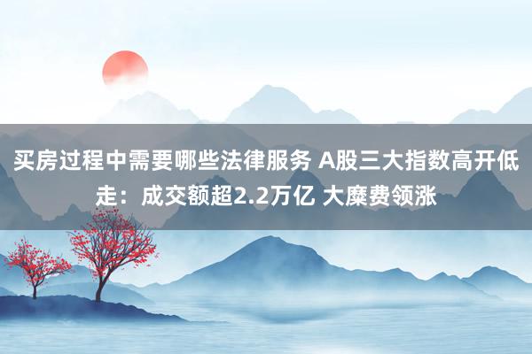 买房过程中需要哪些法律服务 A股三大指数高开低走：成交额超2.2万亿 大糜费领涨