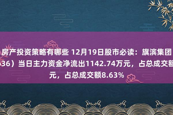 房产投资策略有哪些 12月19日股市必读：旗滨集团（601636）当日主力资金净流出1142.74万元，占总成交额8.63%