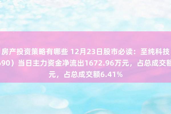 房产投资策略有哪些 12月23日股市必读：至纯科技（603690）当日主力资金净流出1672.96万元，占总成交额6.41%