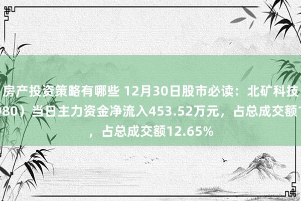 房产投资策略有哪些 12月30日股市必读：北矿科技（600980）当日主力资金净流入453.52万元，占总成交额12.65%