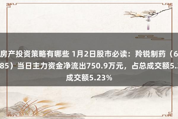 房产投资策略有哪些 1月2日股市必读：羚锐制药（600285）当日主力资金净流出750.9万元，占总成交额5.23%