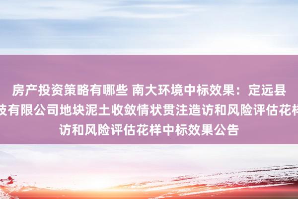 房产投资策略有哪些 南大环境中标效果：定远县科威硅橡胶科技有限公司地块泥土收敛情状贯注造访和风险评估花样中标效果公告