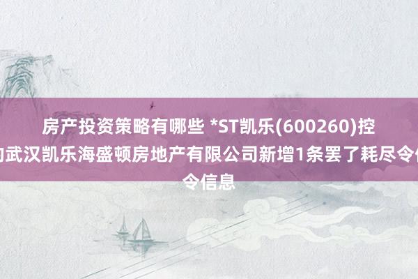 房产投资策略有哪些 *ST凯乐(600260)控股的武汉凯乐海盛顿房地产有限公司新增1条罢了耗尽令信息