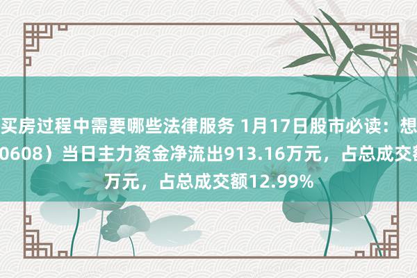 买房过程中需要哪些法律服务 1月17日股市必读：想特奇（300608）当日主力资金净流出913.16万元，占总成交额12.99%