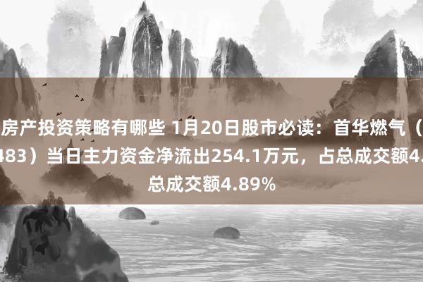 房产投资策略有哪些 1月20日股市必读：首华燃气（300483）当日主力资金净流出254.1万元，占总成交额4.89%