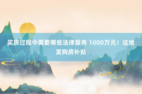 买房过程中需要哪些法律服务 1000万元！这地发购房补贴