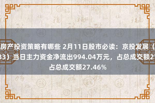 房产投资策略有哪些 2月11日股市必读：京投发展（600683）当日主力资金净流出994.04万元，占总成交额27.46%