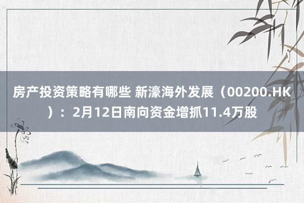 房产投资策略有哪些 新濠海外发展（00200.HK）：2月12日南向资金增抓11.4万股